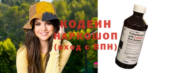 прущий лед Алзамай