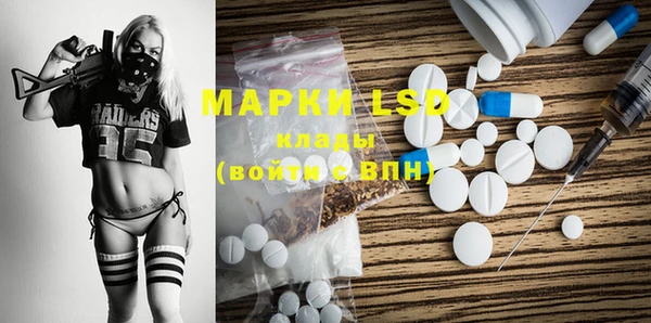 прущий лед Алзамай