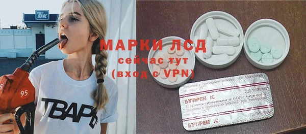 прущий лед Алзамай