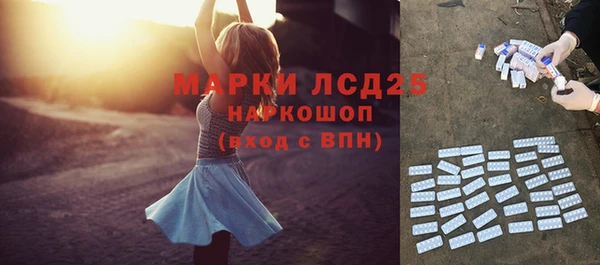 прущий лед Алзамай